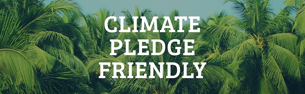 Natural Loofah Dish Sponge Pack Biodegradable 510