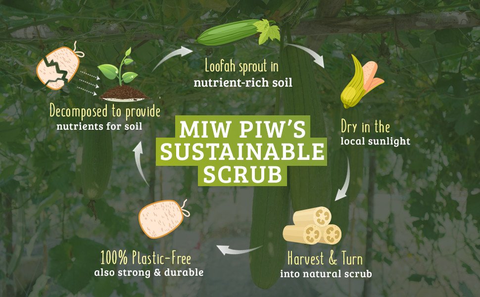 Natural Loofah Dish Sponge Pack Biodegradable 512